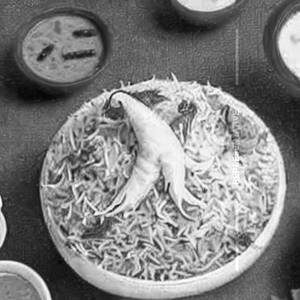 Kachcha Ghost Biryani