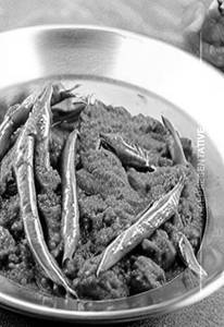 Masala Bhindi