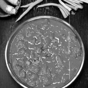 Veg Garlic Gravy