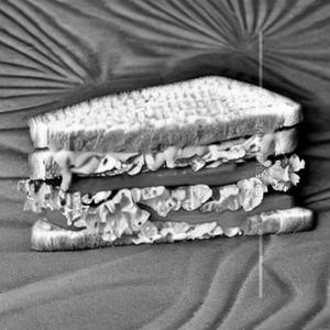 Vegetable Sandwich