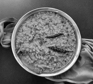 Kadhi khichdi