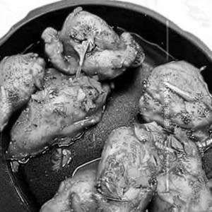 Lemon chicken                                                                                                   