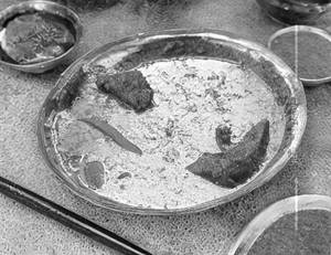 Doi Ilish