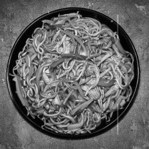 Chicken Hot Galric Noodles