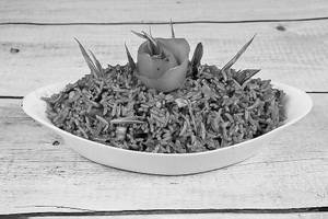 Veg. Fried Rice