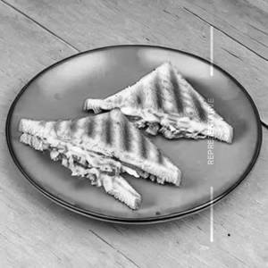 Chicken Cheese Grilled Sandwich