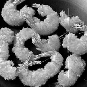 Golden Fried Prawn     