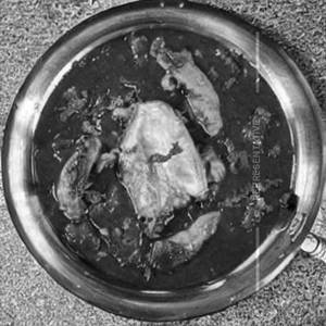 Oyster chilly fish                                           