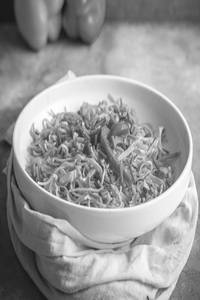 Veg Hakka Noodles