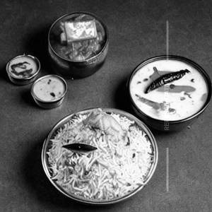 Shree Sais Special Dum biryani
