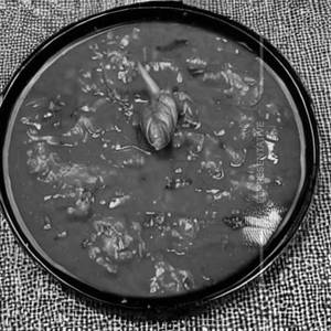 Rigati Fantasia   [Nepolatana Sauce]