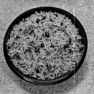 Jeera Rice                                