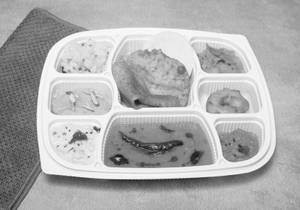 Mini Tiffin