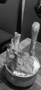 Mutton Ghost Biryani (nalli) - Spl (double Bone)