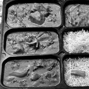 Veg Nawabi