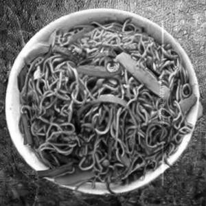 Veg Schezwan Noodles