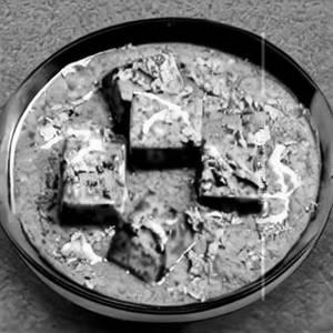 Mayur Spl Paneer