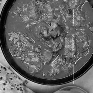 Veg Handi
