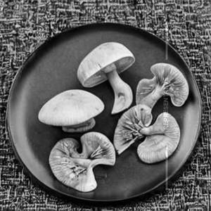 Guntur Mushroom 