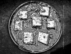 Paneer Angara