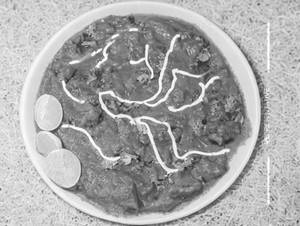Papad Masala