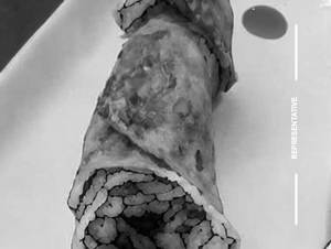 Crispy Tanuki Roll