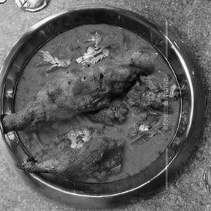 Murgh Banjara