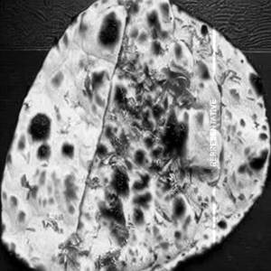 Paneer Naan Sholey