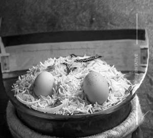 Egg Biryani