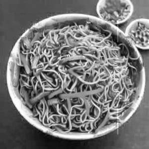 Veg Hakka Noodles