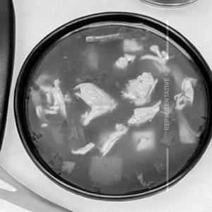 Chicken Clear Soup