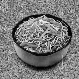 Veg Youth Ishtyle Noodles