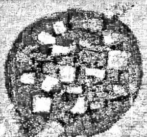 Paneer Kadal