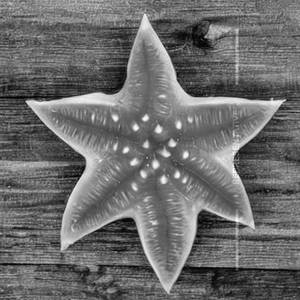 Star Fruit