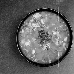 Chicken Burnt Garlic Soup