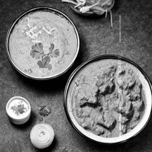 Navratna Korma