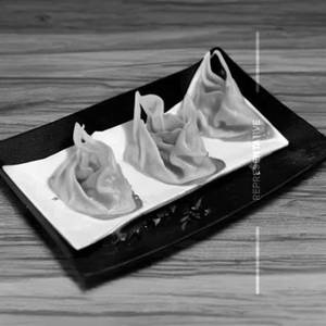 Chicken Wonton Fried