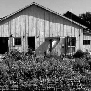 Farm house