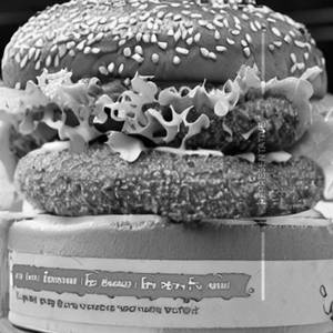 Veg Spicy Lava Burger