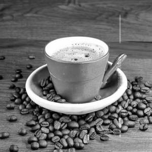 Doppio