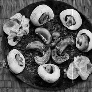 Mushroom Alishan Ti???