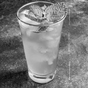 Lime Mint Cooler