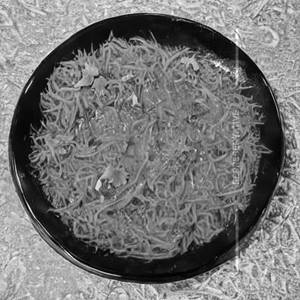Sev Bhaji