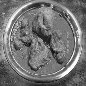 Chicken Kolhapuri