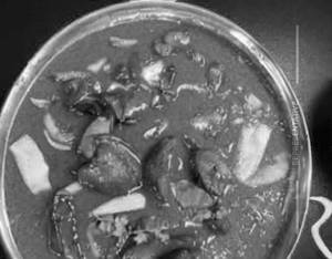 Mushroom Do Pyaza