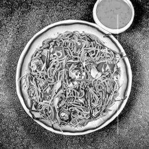 Paneer chowmein f