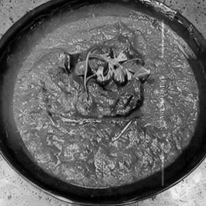 Mutton Afghani ( 4 Pcs )