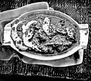 Chicken Malai Methi