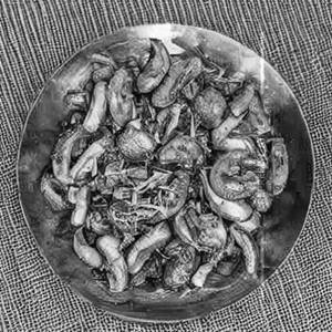 Mushroom Multani
