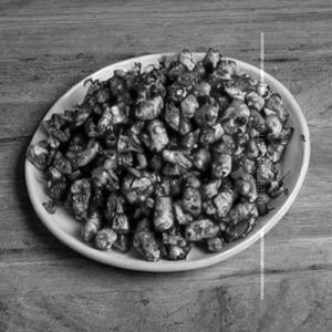 Crispy Corn